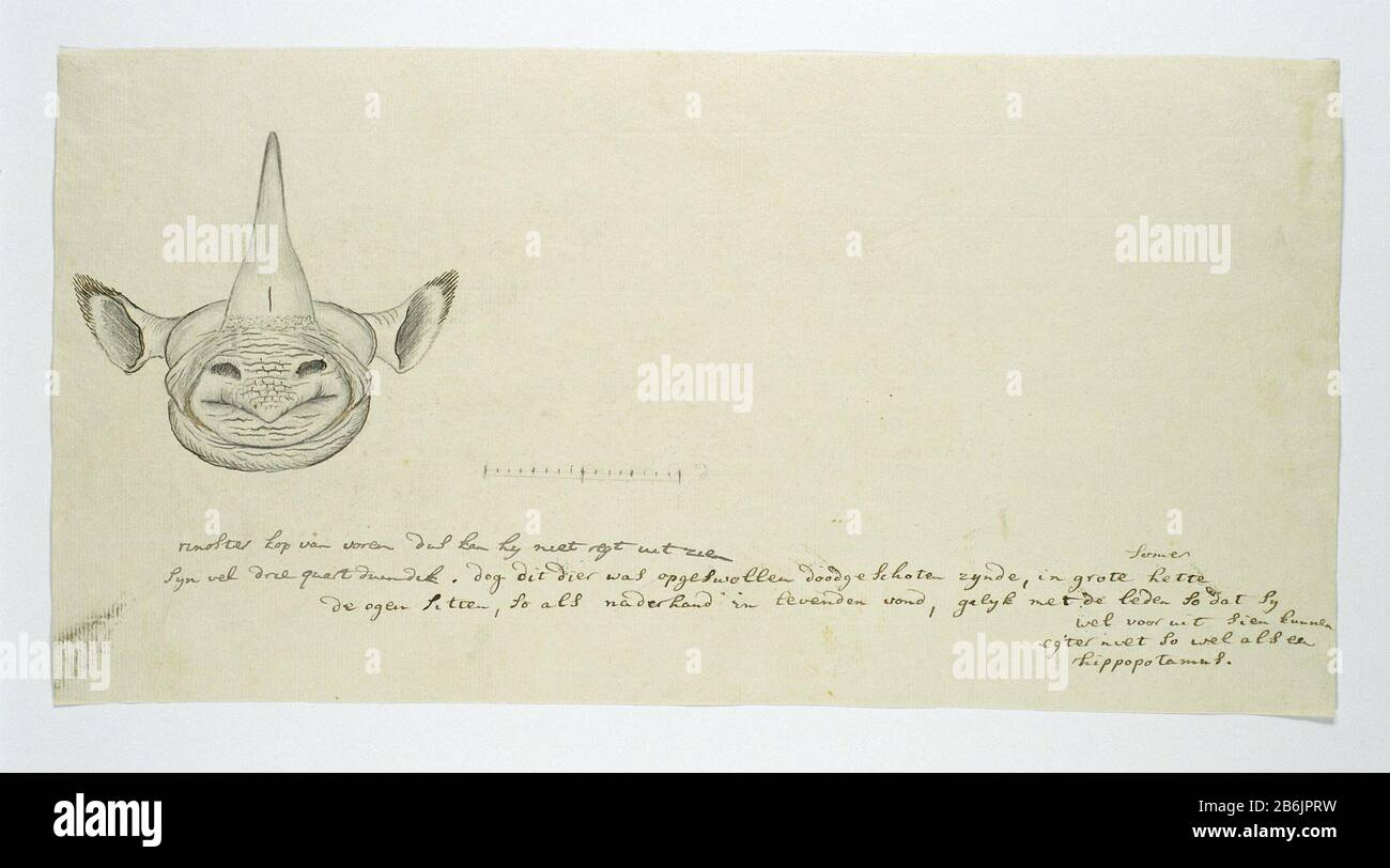 Diceros bicornis bicornis (Rhinoceros noir) van kop en positie van de ogen (dans le handschrift de Gordon; volledige tekst in: L.C. Rookmaker, Annexe I van zijn scriptie, p. 214)OmschrijKop van een zwarte neuhoorn (Diceros bicornis), van voren; met schaalverdeling, zonder maten. Fabricant : dessinateur: Robert Jacob Gordon Dating: CA. 1778 - 1779 kenmerken physique: PEN en penseel in inkt, potlood of zwart krijt; op een lange strok paper, bebeekend aan de linkerkant matériau: Papier inkt potlood krijt Techniek: Penseel / Dimensions: Albumblad: H 660 × b 480 mblad: 218 mm × 425 mm Banque D'Images Diceros bicornis bicornis (Rhinoceros noir) van kop en positie van de ogen (dans le handschrift de Gordon; volledige tekst in: L.C. Rookmaker, Annexe I van zijn scriptie, p. 214)OmschrijKop van een zwarte neuhoorn (Diceros bicornis), van voren; met schaalverdeling, zonder maten. Fabricant : dessinateur: Robert Jacob Gordon Dating: CA. 1778 - 1779 kenmerken physique: PEN en penseel in inkt, potlood of zwart krijt; op een lange strok paper, bebeekend aan de linkerkant matériau: Papier inkt potlood krijt Techniek: Penseel / Dimensions: Albumblad: H 660 × b 480 mblad: 218 mm × 425 mm Banque D'Images