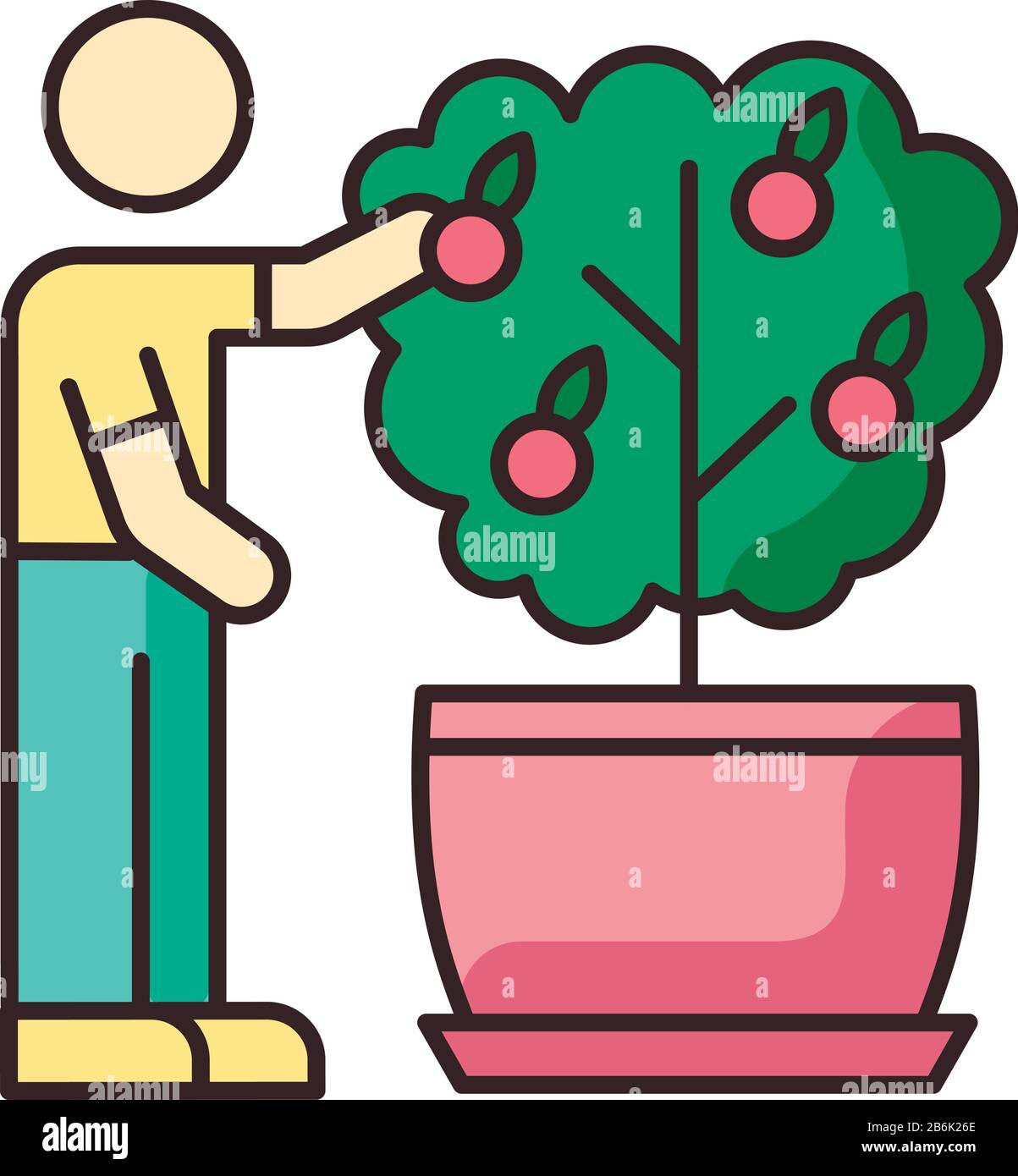 Collecte de fruits à partir de l'icône de couleur RVB du mini-citrus. Entretien de l'arbre orange miniature. Usine florissante. Fructification de la maison. Jardinage intérieur Illustration de Vecteur