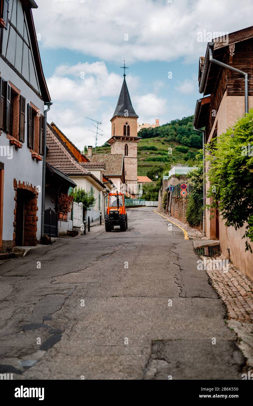 Collines avec vignes en Alsace, France Banque D'Images