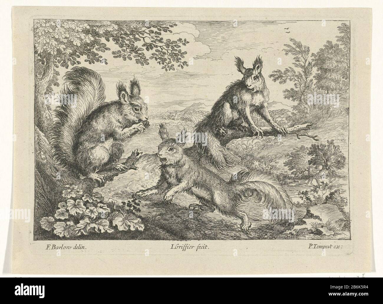 Trois écureuils Divers animaux (titre de la série) Trois écureuils dans le paysage boisé. Cette impression fait partie d'une série de dix tirages avec dieren différent. Fabricant : print maker: Jan Registraire (I) (montré sur l'objet) à dessiner par: Barlow Francis (indiqué sur l'objet) éditeur: Pierce Tempest (indiqué sur l'objet) Dating : 1680 - 1694 Caractéristiques physiques: Gravure et engrange matériau: Technique du papier: Gravure / engrange (procédé d'impression) mesures: Bord: Plaque: H 139 mm × L 187 mm Objet : rongeurs Banque D'Images