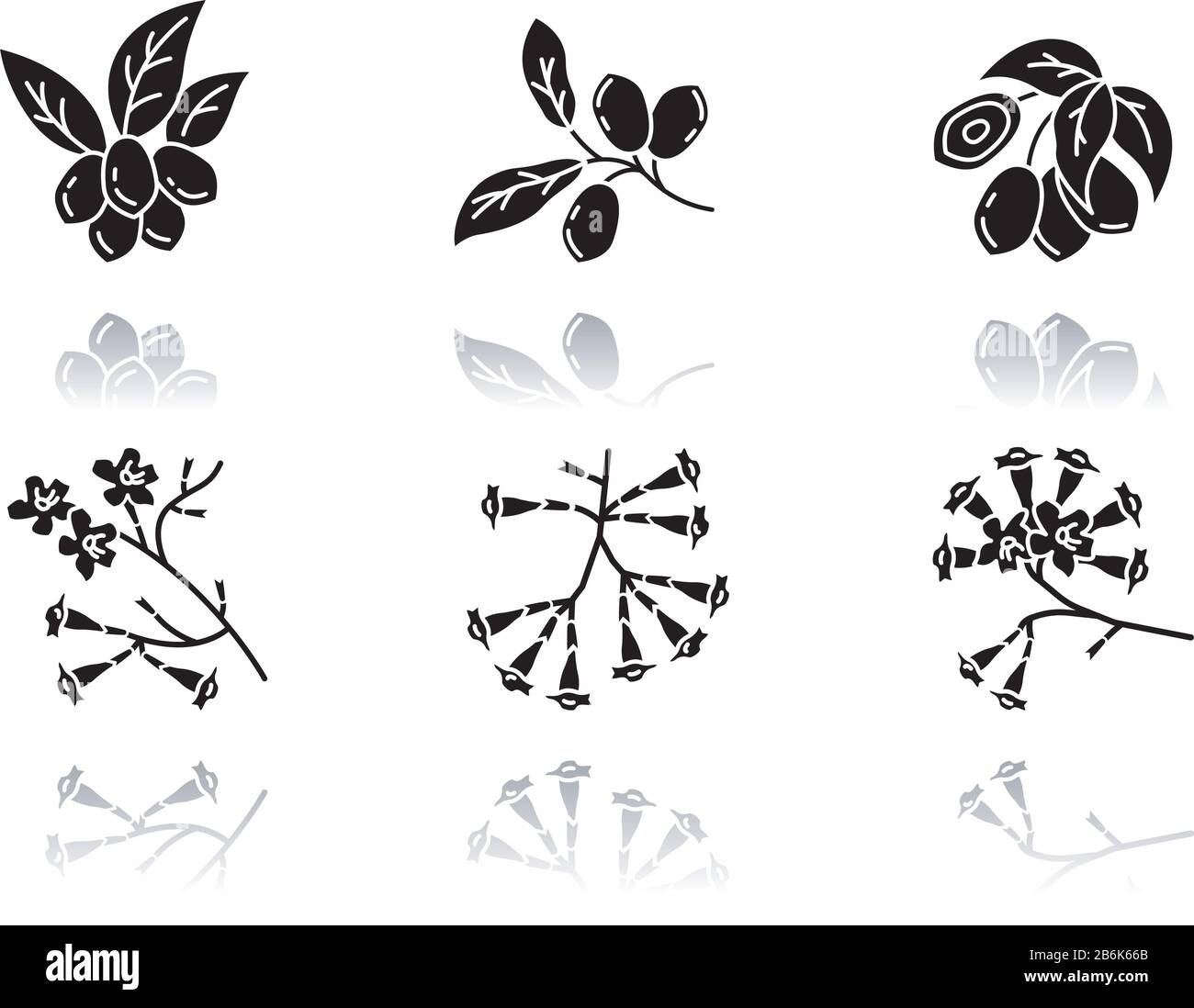 La flore brésilienne est un jeu d'icônes de glyphes noirs. Fruit miracle. Arborescence IPE. Plumeria et jojoba. Usine sud-américaine. Botanique. Fleurs tropicales Illustration de Vecteur