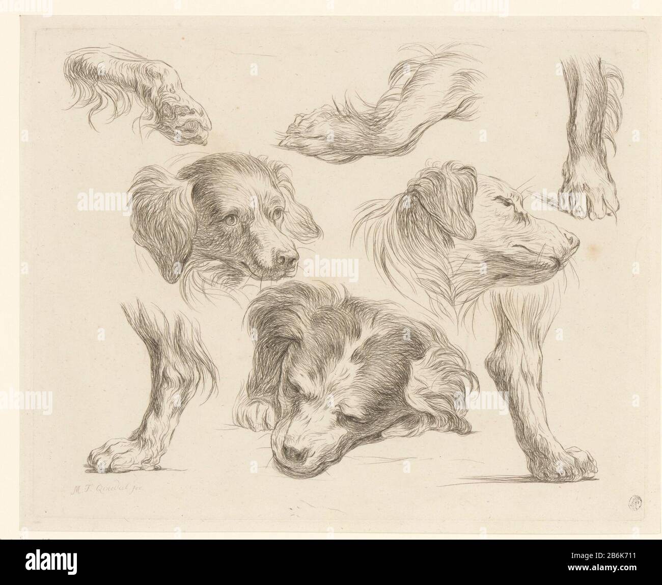 Trois têtes de chien et les jambes Une Variété de tame et d'animaux sauvages, des études de la nature (titre de la série) Trois têtes de chien et -potenA Variété de tame et d'animaux sauvages, des études de la nature (titre de la série) Type de propriété: Photo Numéro d'article: RP-P-2000-45Catalogusreferentie: LeBlanc 2-11 Inscriptions / marques: Marque de collectionneur, verso, estampillée : Lugt 2228 marque du collectionneur , verso, estampillée: Lugt 2760 marque du collectionneur , recto en bas à droite, estampillée: Lugt 971 Fabricant : printmaker Martin Ferdinand Quadal (bâtiment classé) éditeur: Martin Ferdinand Quadal Dating: 1793 Caractéristiques physiques: Matériel de gravure: PA Banque D'Images