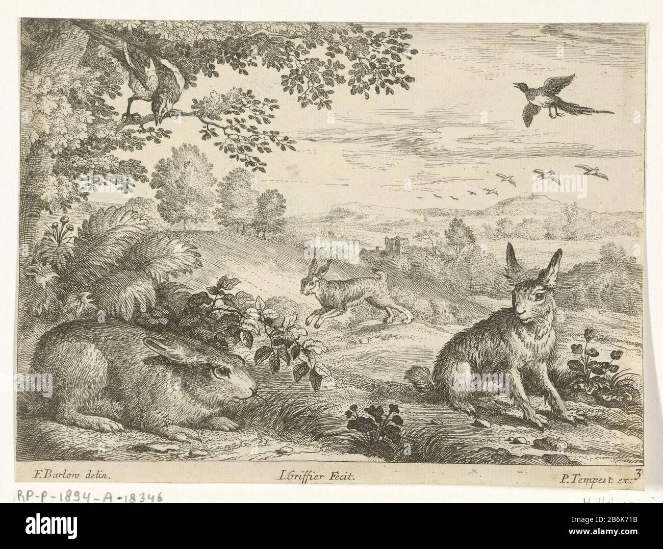Trois lapins dans un paysage Divers animaux (titre de la série) au premier plan sont deux lièvres. En arrière-plan, il reste un troisième lièvre. Dans le ciel volant deux magpies. Cette impression fait partie d'une série de dix tirages avec dieren différent. Fabricant : print maker: Jan Registraire (I) (montré sur l'objet) à dessiner par: Barlow Francis (indiqué sur l'objet) éditeur: Pierce Tempest (indiqué sur l'objet) Dating : 1680 - 1694 Caractéristiques physiques: Gravure et engrama matériel: Technique du papier: Gravure / engrama (processus d'impression) mesures: Feuille: H 131 mm × l 171 mm Objet : rongeurs Banque D'Images