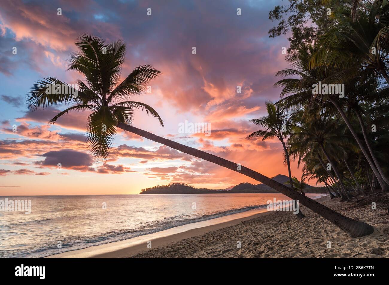 Un magnifique palmier à noix de coco emblématique pend obliquement sur une scène typique de plage tropicale avec île en arrière-plan et plage de Coconut grove. Banque D'Images