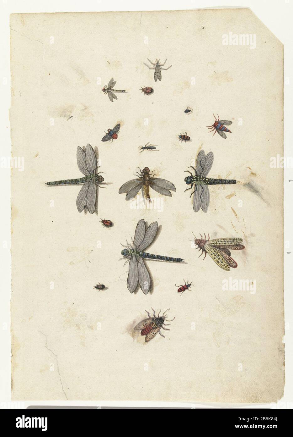 Trois libellules et autres insectes Lombard album (titre de la série) Trois libellules et autres insectes lombard album (titre de la série) Type de bien: Dessin Numéro de série: / 100 Numéro d'objet: RP-T 1952-390Catalogusreferentie: Boon 577 Fabricant: Lambert Lombard artiste: Anonyme (attribution rejetée) Lieu fabrication : Pays-Bas Date: Environ 1560 Caractéristiques physiques: Matériau couleur de la brosse : papier technique : dimensions de la brosse : H 450 mm (jeu) × W 315 mm (jeu) Notes Page à partir de l'album 100 pages avec dessins de dieren. Banque D'Images