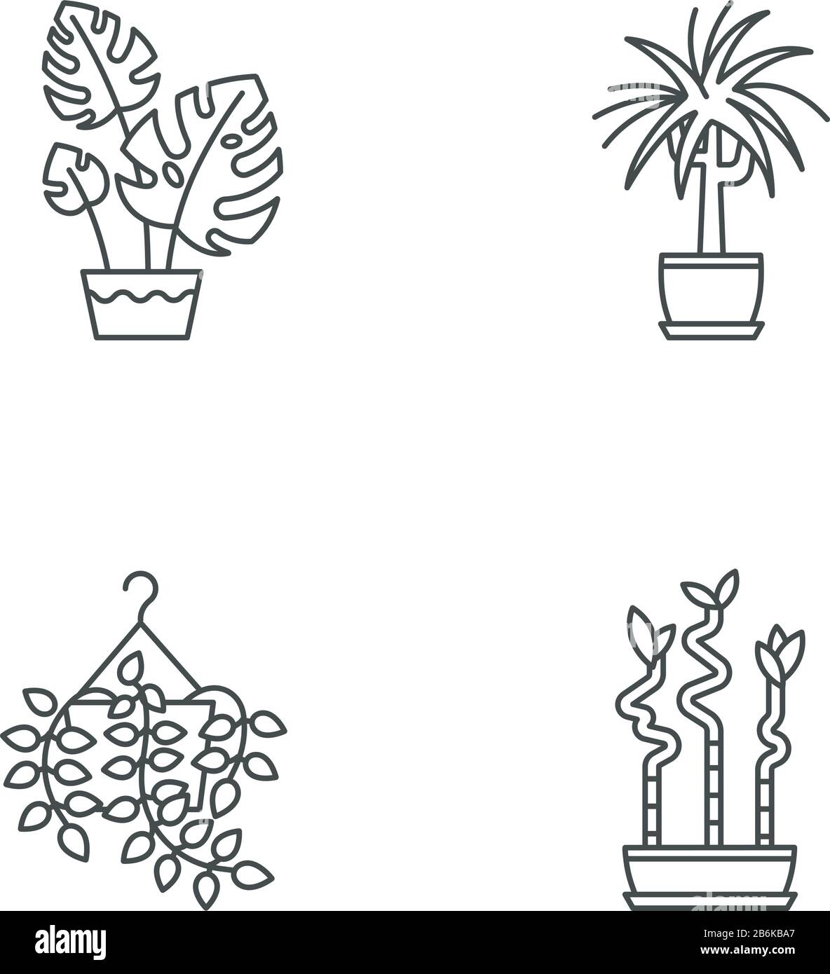 Les plantes domestiquées pixels Perfect linéaire icônes ensemble. Plantes De La Maison. Pithos, dracaena. Monstera, bambou. Symboles de contour de ligne mince personnalisables. Isolé Illustration de Vecteur