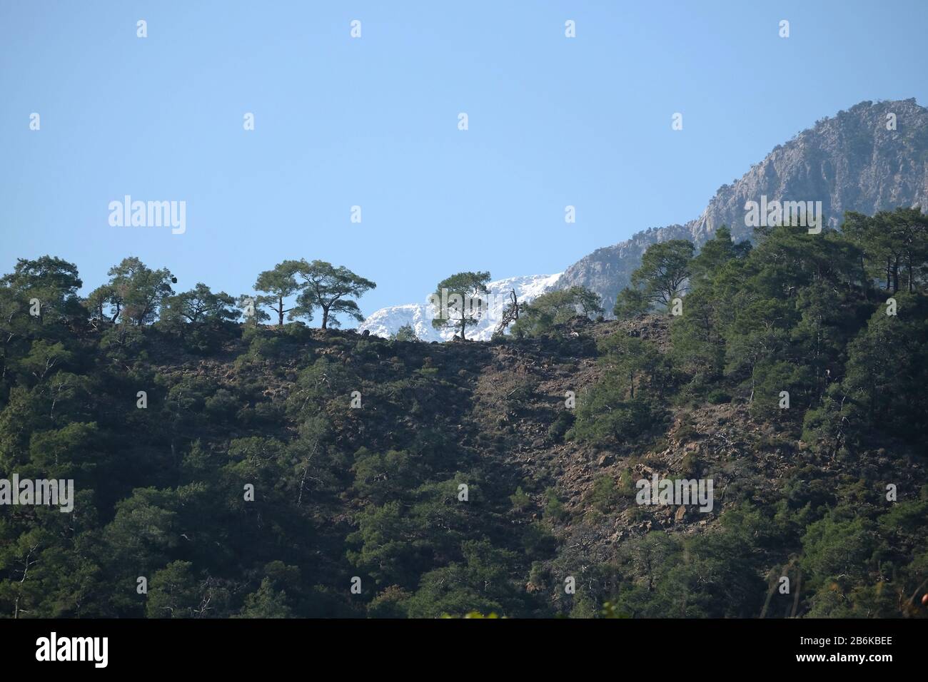 Paysage avec parc national montagnes de différentes hauteurs, pins de montagne sur les pentes et neige sur les hauts sommets à loin Banque D'Images