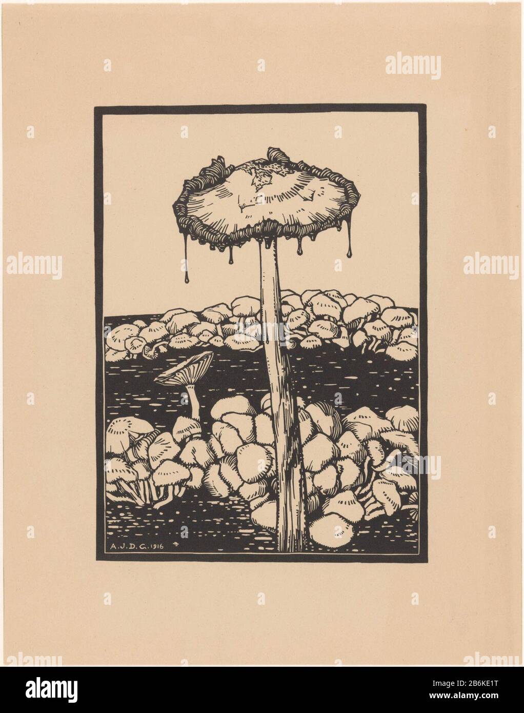 Goutte de champignons Dans l'arrière-plan plus petite padenstoelen. Fabricant : printmaker: Julie Like the (listed property) Date: 1916 matériau: Technique du papier: Dimensions de la coupe du bois: Feuille: H 288 mm × W 227 mm Objet: Champignons Banque D'Images