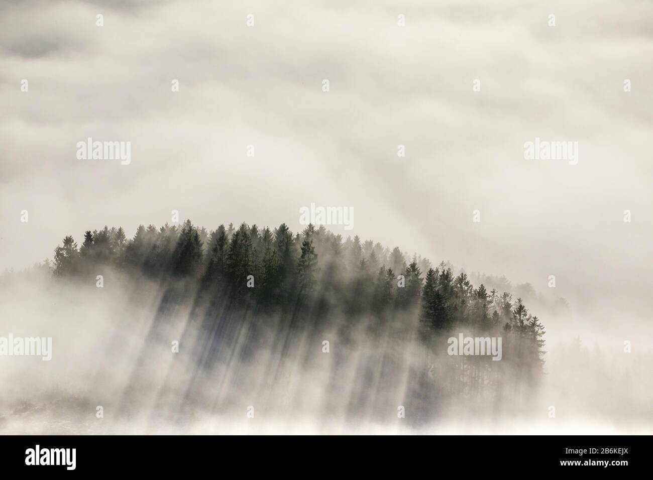 Nuages et vallées de brume et zones boisées près de Meschede, vue aérienne, 11.12.2013, Allemagne, Rhénanie-du-Nord-Westphalie, Sauerland, Meschede Banque D'Images