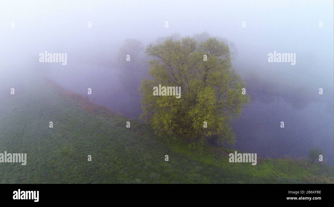 , brouillard matinal sur les prairies et les champs à la boucle de la rivière Lippe à Olfen, vue aérienne, Allemagne, Rhénanie-du-Nord-Westphalie, Muensterland, Olfen Banque D'Images , brouillard matinal sur les prairies et les champs à la boucle de la rivière Lippe à Olfen, vue aérienne, Allemagne, Rhénanie-du-Nord-Westphalie, Muensterland, Olfen Banque D'Images