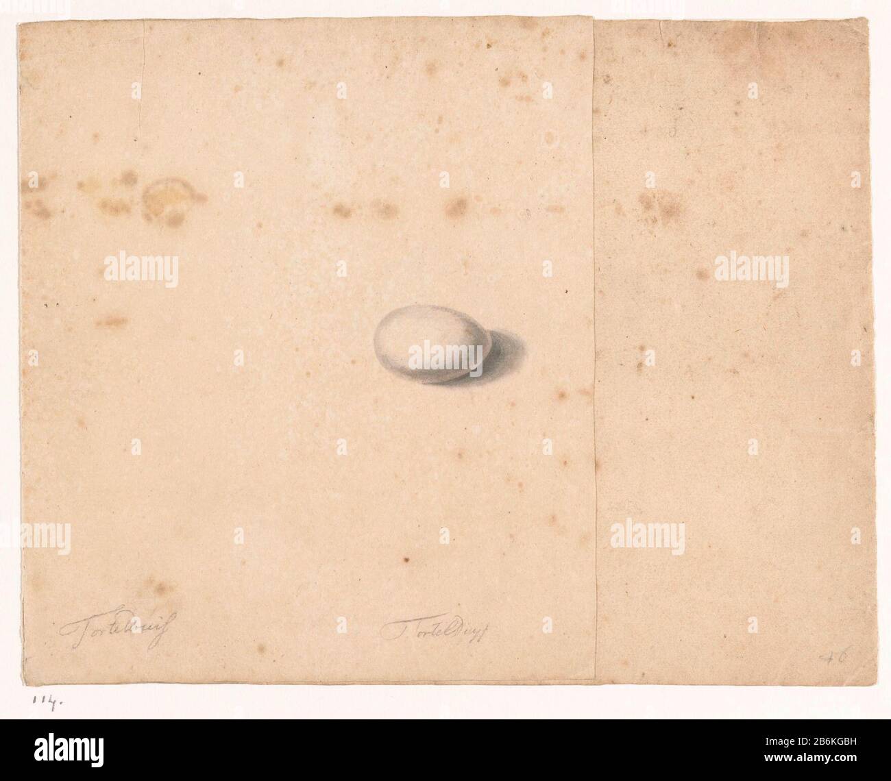 Duivenei l'oeuf d'une tortue-pigeon. Feuille double-Pliée avec à l'intérieur un autre oeuf, légèrement plus vert de couleur. Fabricant : dessinateur: Jan Brandes Dating: 1770 - 1790 Caractéristiques physiques: Crayon, pinceau en matière de couleur: Crayon de papier aquarelle technique: Dimensions du pinceau: H 194 mm × W 249 mm Sujet: Oiseaux d'ornement (+ oeuf) Quand: 1770 - 1790Wie: Jan Brandes Banque D'Images