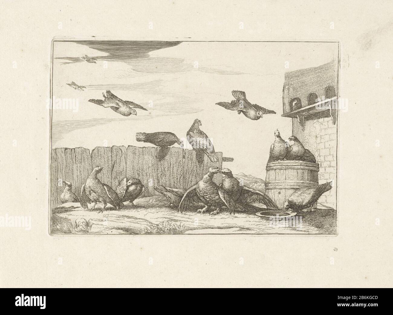 Duiven verschillend Vogels (servietitel) forme parfaite de différents oiseaux () (servietitel) Pigeons sur une cour avec des tonnes et un duiventil. Fabricant : printmaker Pieter Schenk (i) (attribué à), conçu par Francis Barlow Éditeur: Peter Schenk (i) Lieu de fabrication: Amsterdam Date: 1675 - 1711 matériau: Technique du papier: Dimensions de gravure: Bord de la plaque: H 135 mm × W 199 mm Objet: Autres oiseaux: Dove Banque D'Images