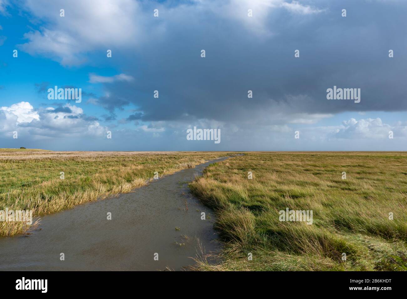 Paysage Avec Marais Salants, Sankt Peter-Ording, Mer Du Nord, Schleswig-Holstein, Allemagne, Europe Banque D'Images Paysage Avec Marais Salants, Sankt Peter-Ording, Mer Du Nord, Schleswig-Holstein, Allemagne, Europe Banque D'Images