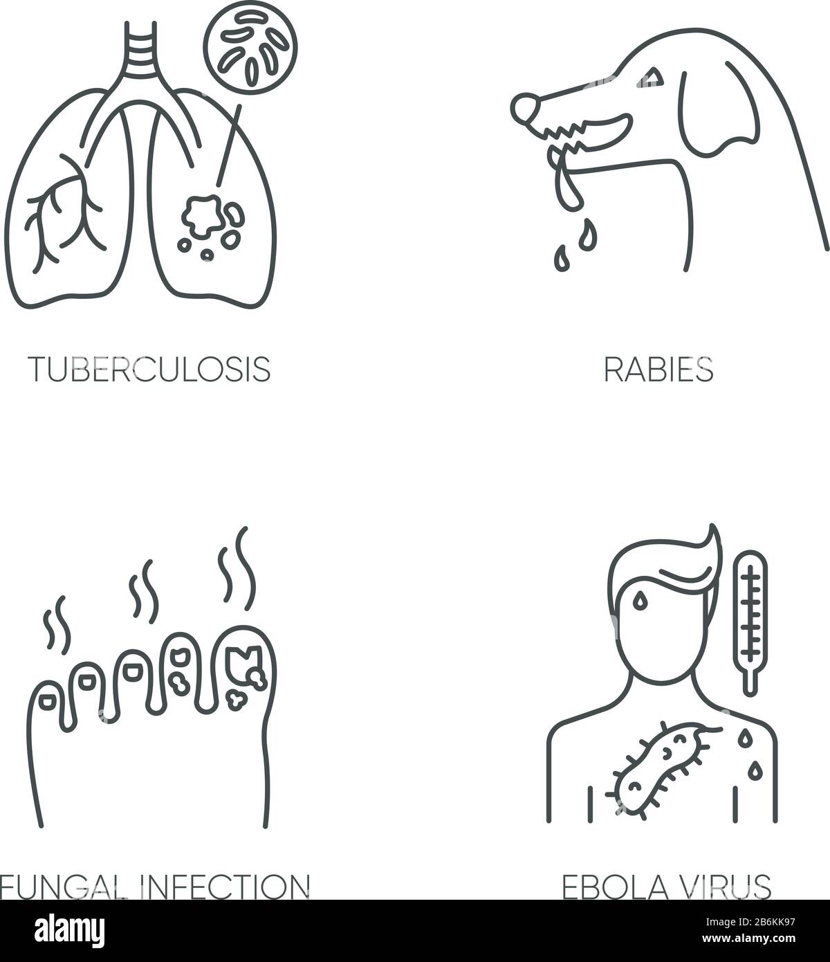 Ensemble d'icônes linéaires parfaites pour les maladies infectieuses. Symboles de contour de la ligne mince personnalisables de la tuberculose, de la rage, de l'infection fongique et d'ebola. Isolé Illustration de Vecteur