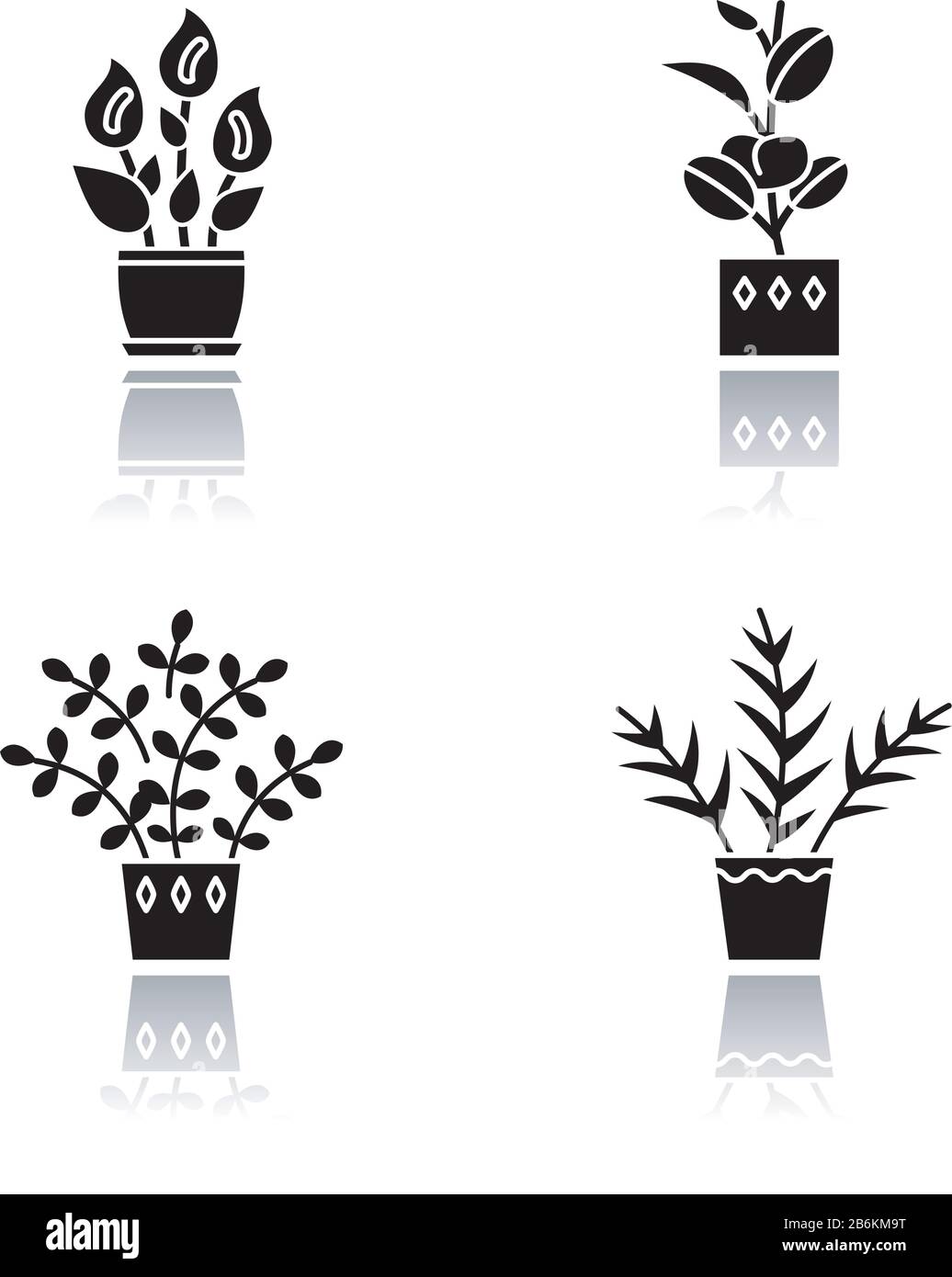 Les plantes domestiquées sont un jeu d'icônes de glyphes noirs d'ombre. Plantes De La Maison. Plantes intérieures. Maison naturelle, décor de bureau. Pithos, dracaena. Monstera, chanceux Illustration de Vecteur