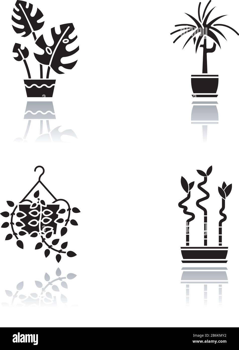 Les plantes d'intérieur tombent ombre noir glyphe icônes jeu. Plantes De La Maison. Plantes ornementales domestiquées. Décoration de bureau et maison. Calme, plante de zz. Palmier de salon Illustration de Vecteur