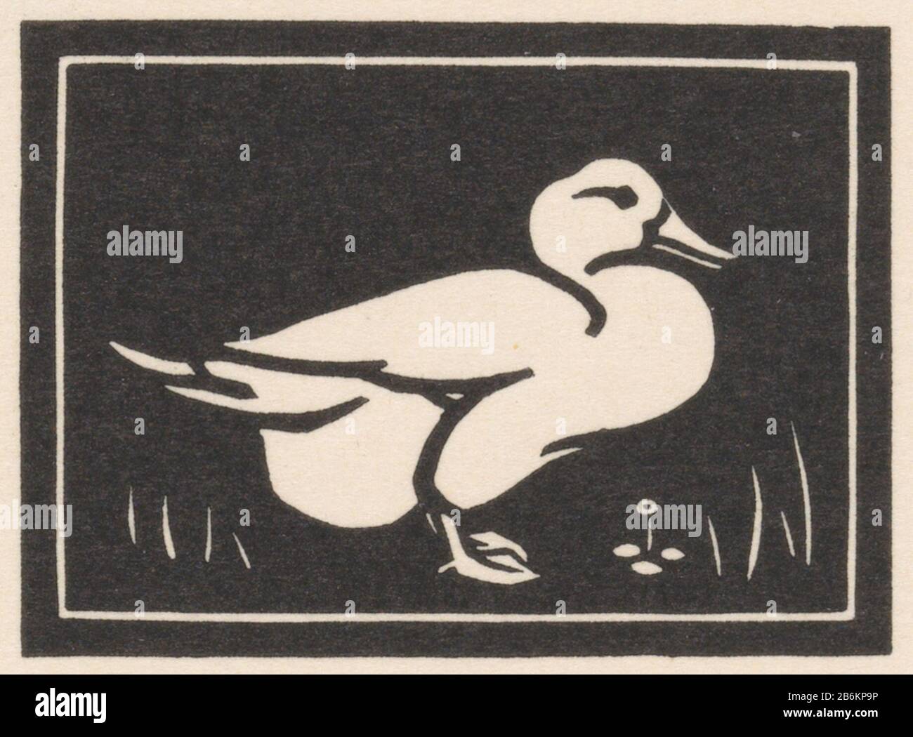 Duck Prent op een onversneden blad met zes etere prenten van dieren. Fabricant : Pentmaker: Julie de Graag Dating: 1923 - 1924 kenmerken physique: Houtsnede op onversneden blad matériau: Papier Techniek: Houtsnede Dimensions: Blad: H 238 mm × b 153 mmbeeld: H 40 mm × b 55 mm Objet: Oiseaux-eau: Canard Banque D'Images
