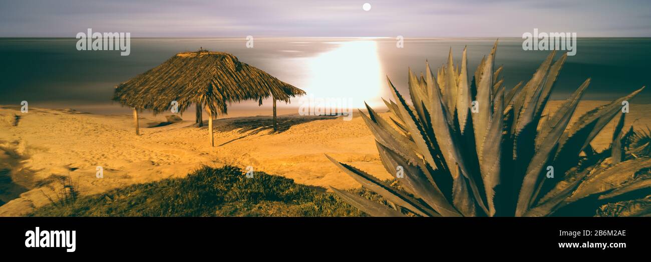 Vue panoramique sur la plage de Windansea, la Jolla, San Diego, Californie, États-Unis Banque D'Images