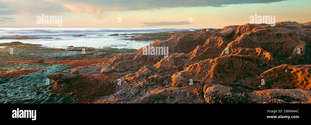 Marée basse sur la côte au coucher du soleil, Birdrock, la Jolla, San Diego County, Californie, États-Unis Banque D'Images