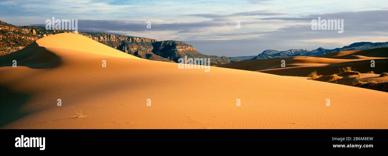 Dunes de sable dans un désert au crépuscule, Coral Pink Sand Dunes State Park, Utah, États-Unis Banque D'Images