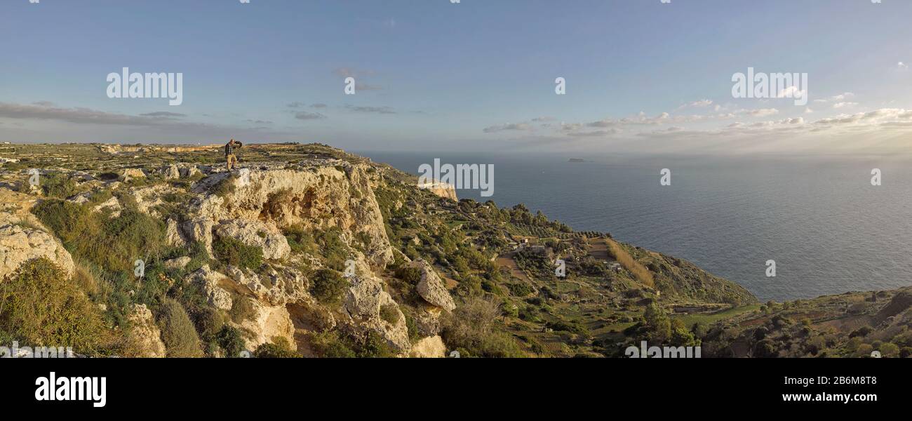 Fauconnerie aux falaises de Dingli, Malte Banque D'Images