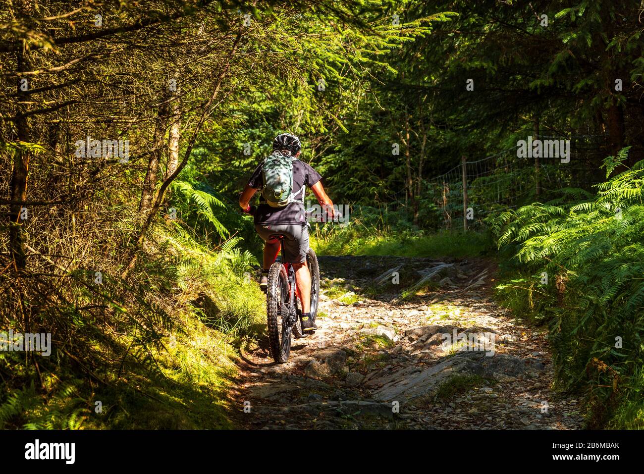 Cycliste (sur e-bike) sur une voie rocheuse dans la forêt de Grizedale dans le district du lac Anglais Banque D'Images