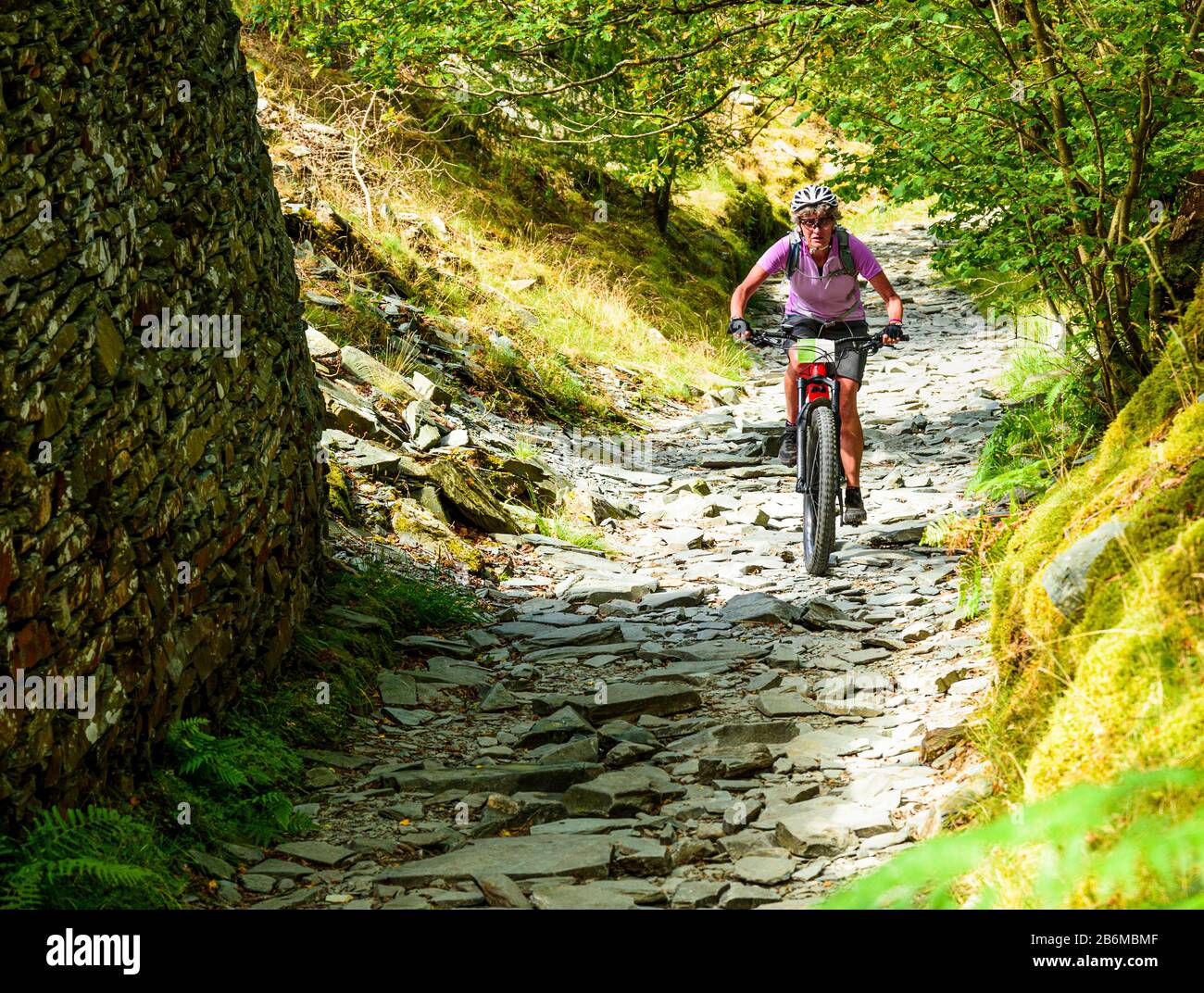 Cycliste (sur e-bike) sur une piste rocheuse près de Hodge Close dans le district de English Lake Banque D'Images
