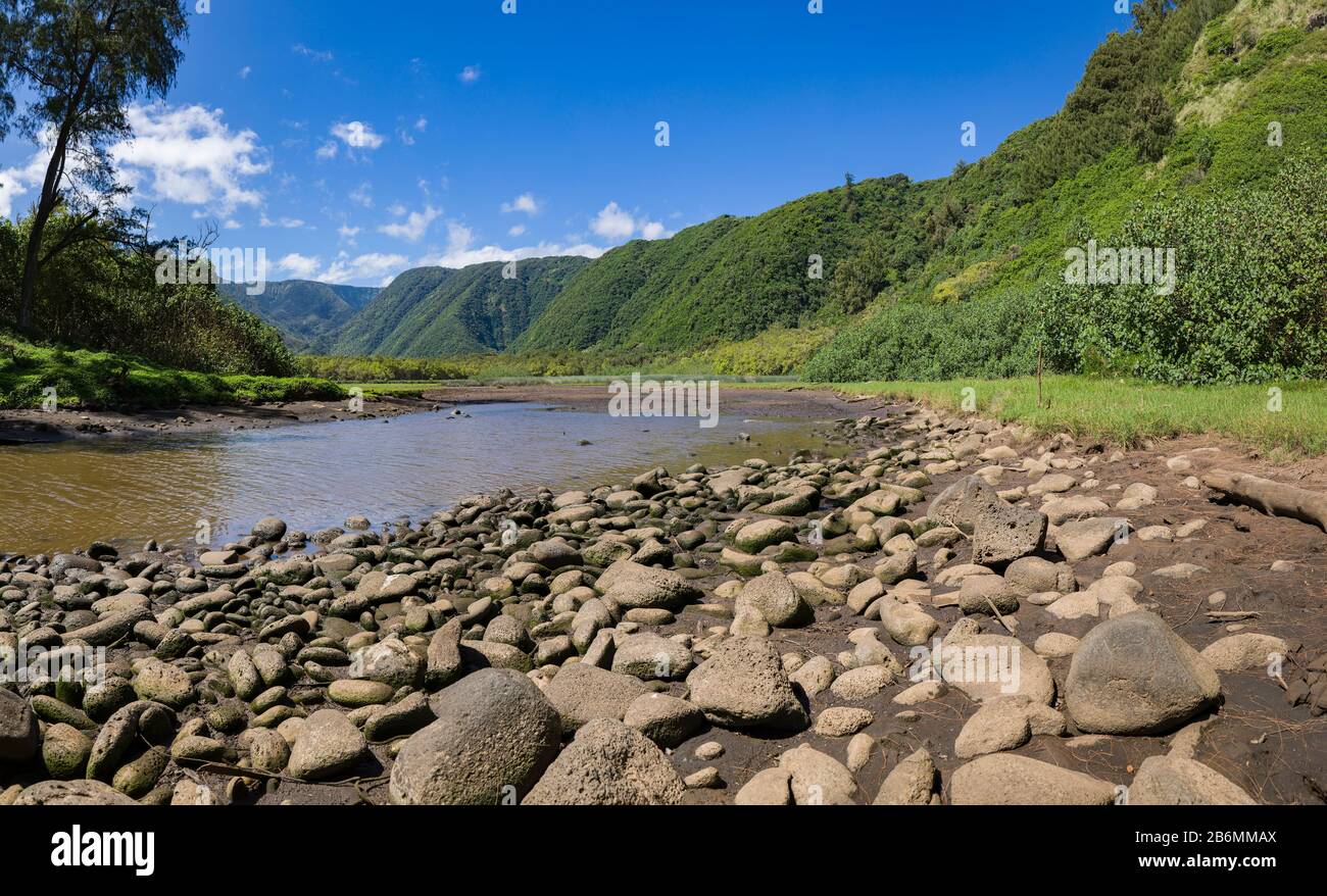 Vue sur la rivière et les pierres, Pololu Valley, North Kohala, Pololu, Hawaii, États-Unis Banque D'Images