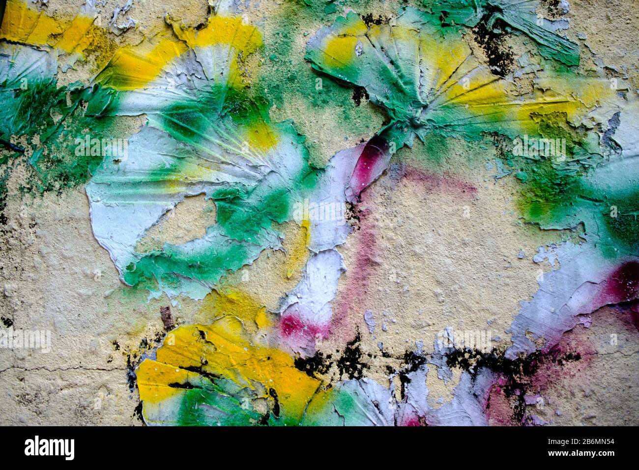 vieux mur en béton avec vue colorée sur lotus Banque D'Images