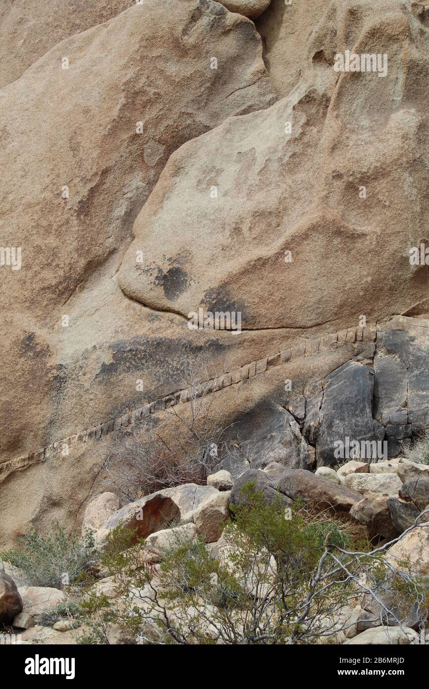 Certaines roches du parc national de Joshua Tree du désert de Mojave du sud affichent des bandes de différentes matières d'apparence connues sous le nom De Dykes géologiques. Banque D'Images