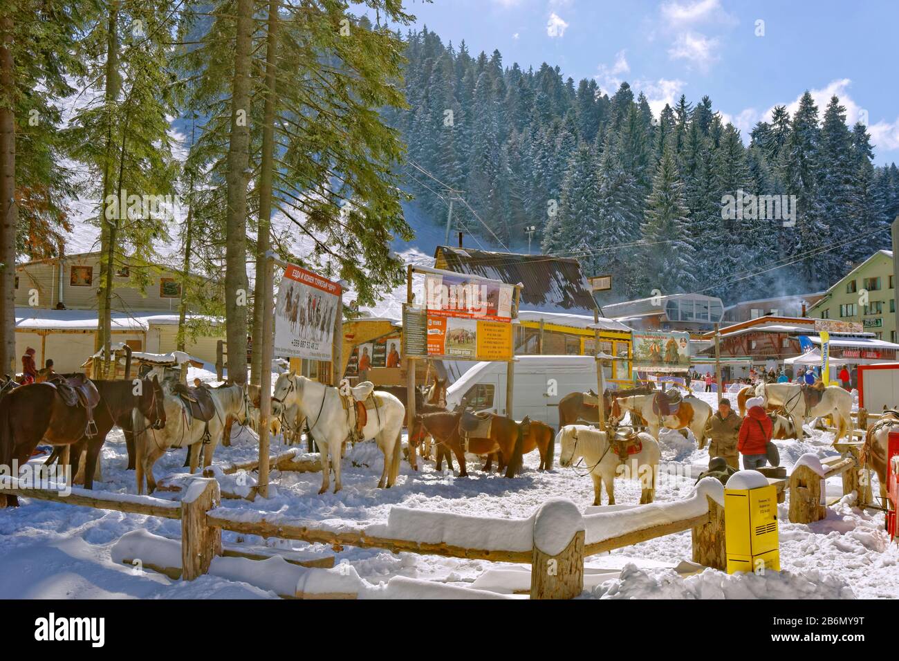 Enceinte d'équitation à la station de ski de Borovets, Samokov, Bulgarie. Banque D'Images