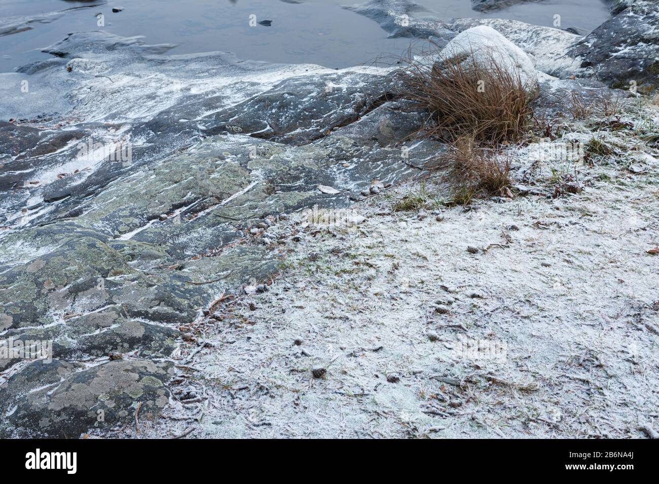 Rive du lac hiver nature paysage fermer Banque D'Images