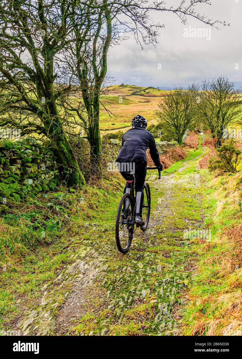 Cycliste sur pont près de Crook dans le sud du Lake District Banque D'Images Cycliste sur pont près de Crook dans le sud du Lake District Banque D'Images