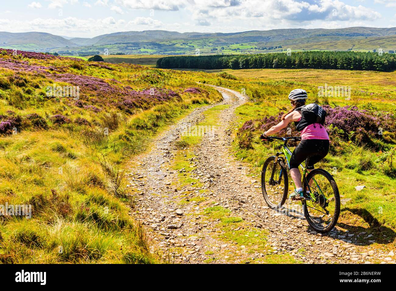 Mountain Biker sur Crosby Ravensworth est tombé dans le Yorkshire Dales Banque D'Images Mountain Biker sur Crosby Ravensworth est tombé dans le Yorkshire Dales Banque D'Images