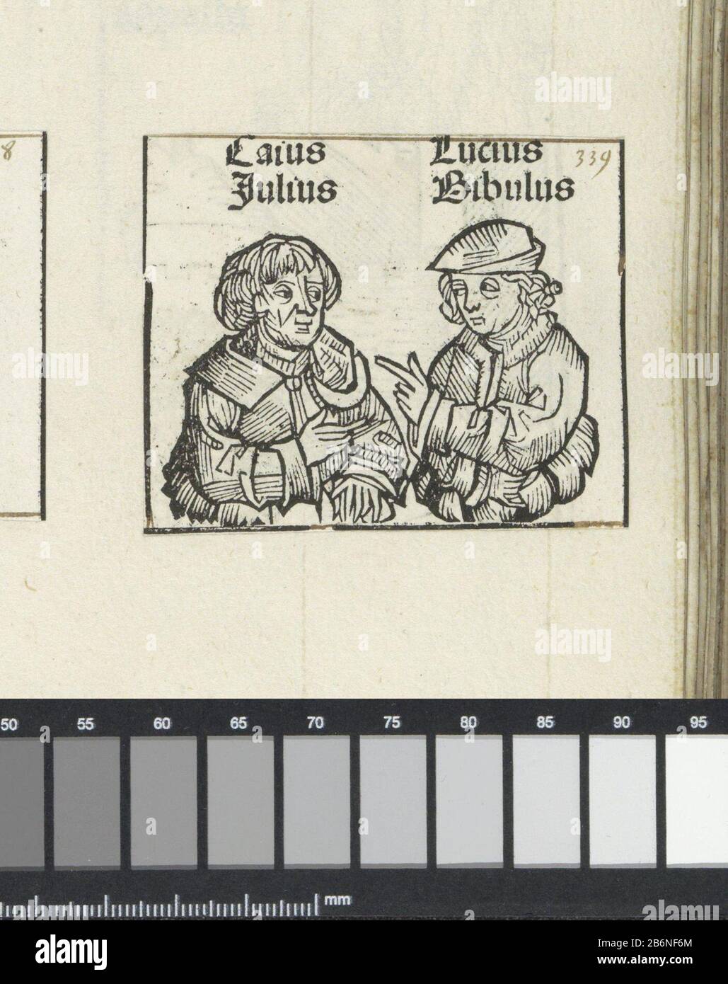 Gaius Julius César en Marcus Calpurius Bibulus Gaius Julius Lucius Bibulus (objet titel op) Liber Chronicarum (servietitel) Twee bloemkelken met mannen. De voorstelling est onderdeel van de lijst van Romeinse consuls in de Liber Chronicarum. De tekst identificeert de mannen als Gaius Julius César en Marcus Calpurius Bibulus. De prent maakt deel uit van een album. Fabricant : fabricant: Michel Wolgitut (atelier van)fabricant: Wilhelm Pleydenwurff (atelier van)Plaats fabriquent: Neurenberg Dating: 1493 Physical kenmerken: Houtsnede geplakt op albumblad; tekst in boekdruk; verso met hout Banque D'Images