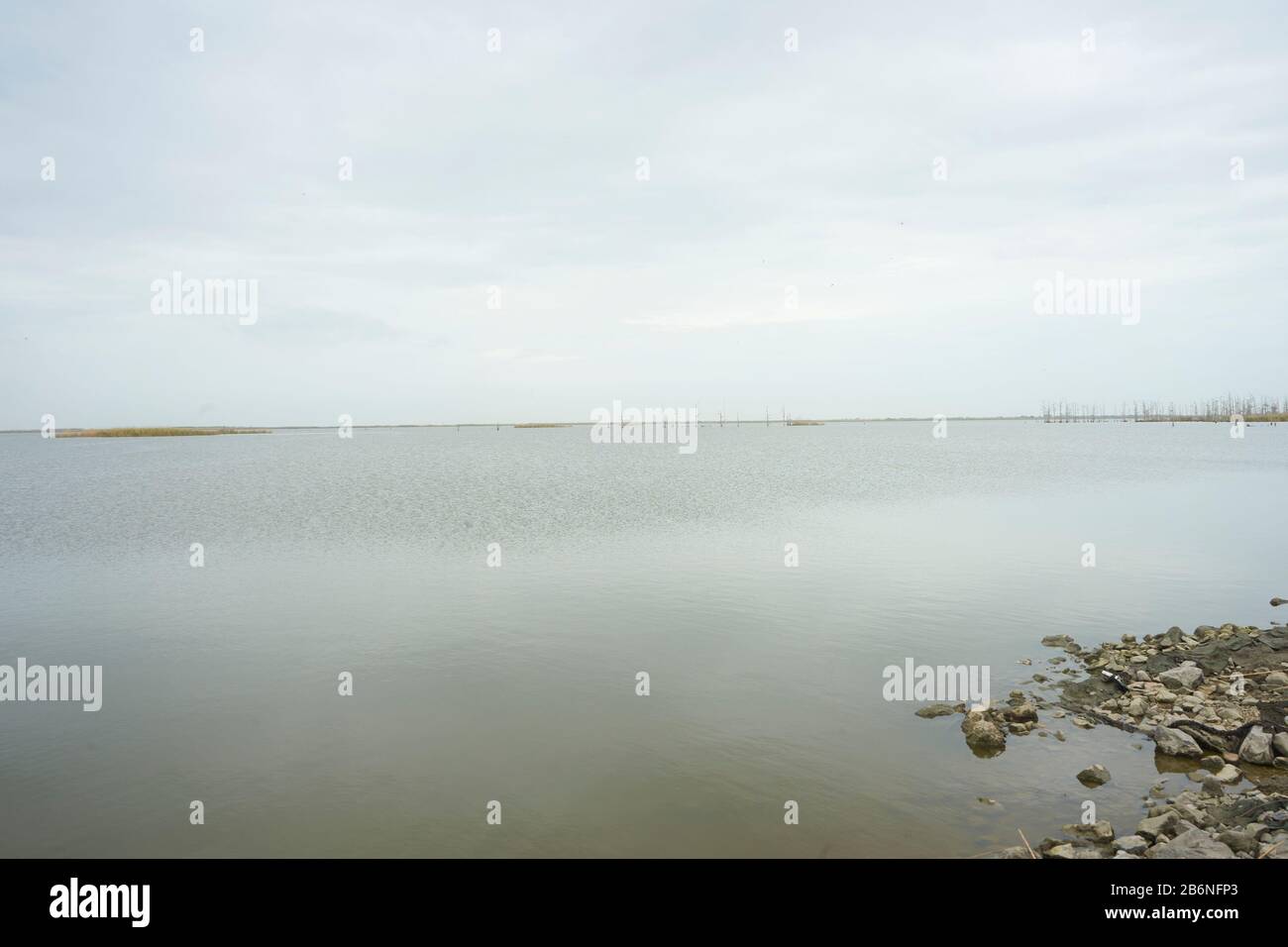 Fleuve Mississippi dans le sud de la Louisiane. Banque D'Images