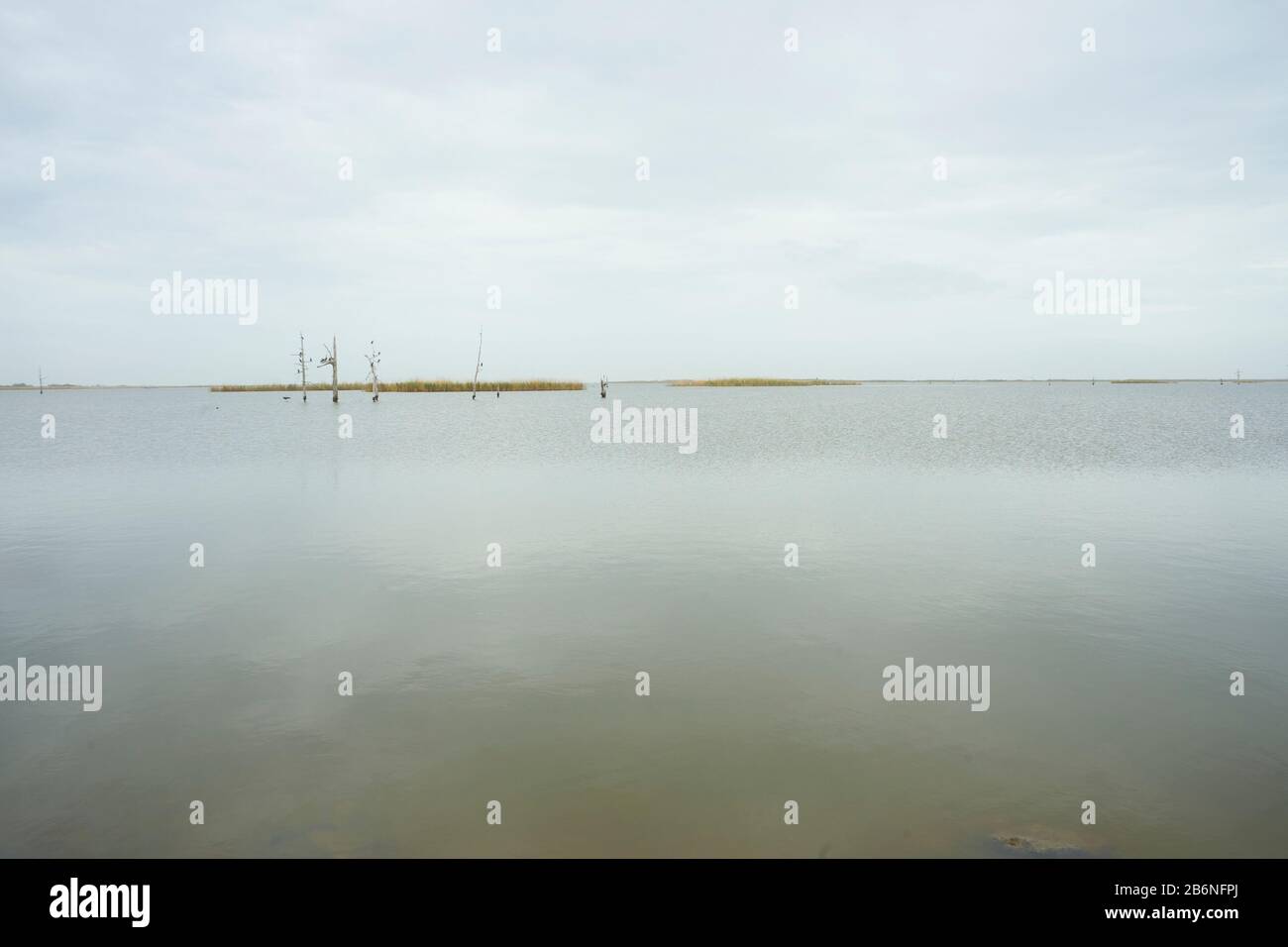 Fleuve Mississippi dans le sud de la Louisiane. Banque D'Images