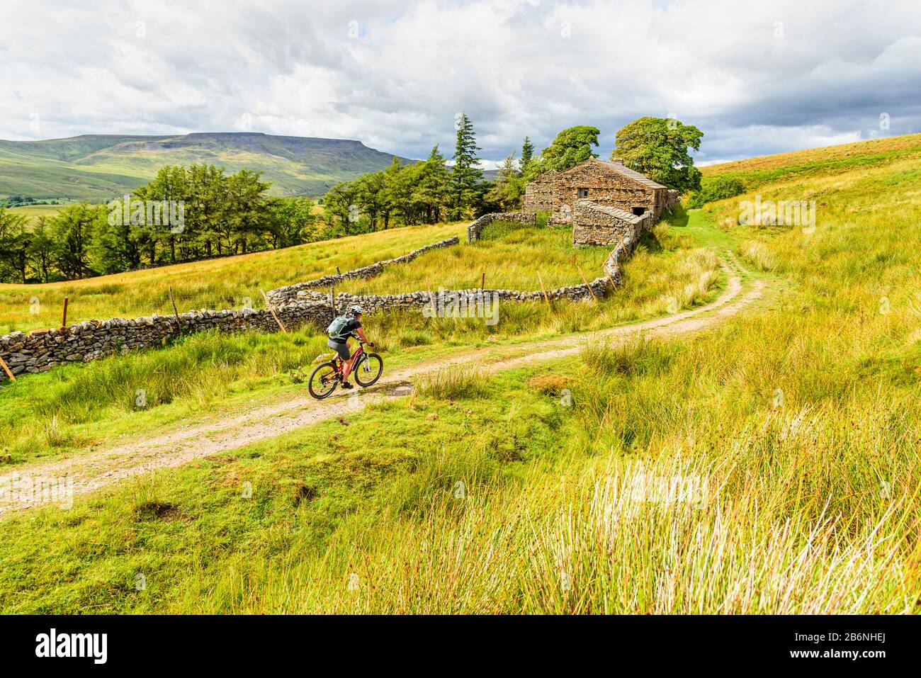 Cycliste passant une ferme ruinée sur Lady Anne's High Way (Pennine Bridgleway) dans le Yorkshire Dales, avec Wild Boar Est Tombé derrière Banque D'Images Cycliste passant une ferme ruinée sur Lady Anne's High Way (Pennine Bridgleway) dans le Yorkshire Dales, avec Wild Boar Est Tombé derrière Banque D'Images