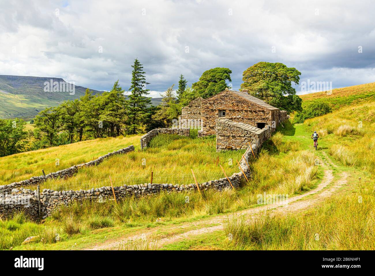 Cycliste passant une ferme ruinée sur Lady Anne's High Way (Pennine Bridgleway) dans le Yorkshire Dales, avec Wild Boar Est Tombé derrière Banque D'Images Cycliste passant une ferme ruinée sur Lady Anne's High Way (Pennine Bridgleway) dans le Yorkshire Dales, avec Wild Boar Est Tombé derrière Banque D'Images