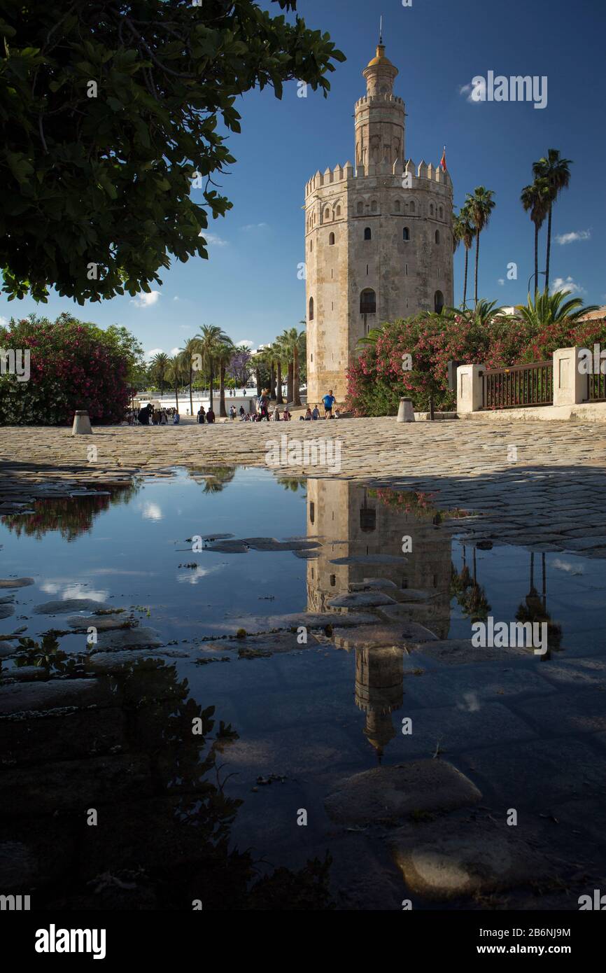 La Torre del Oro et son reflet sur une flaque de la promenade Alcalde marques del Contadero, Séville, Espagne Banque D'Images