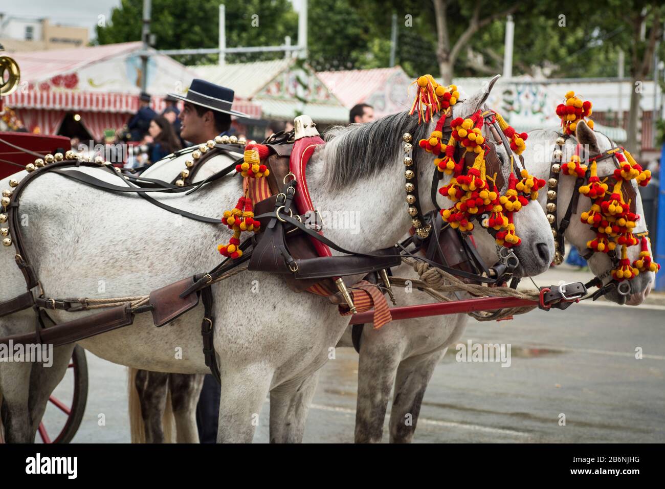 Des chevaux de calash ornés se reposant dans l'enceinte de la Feria de Abril, Séville, Espagne Banque D'Images