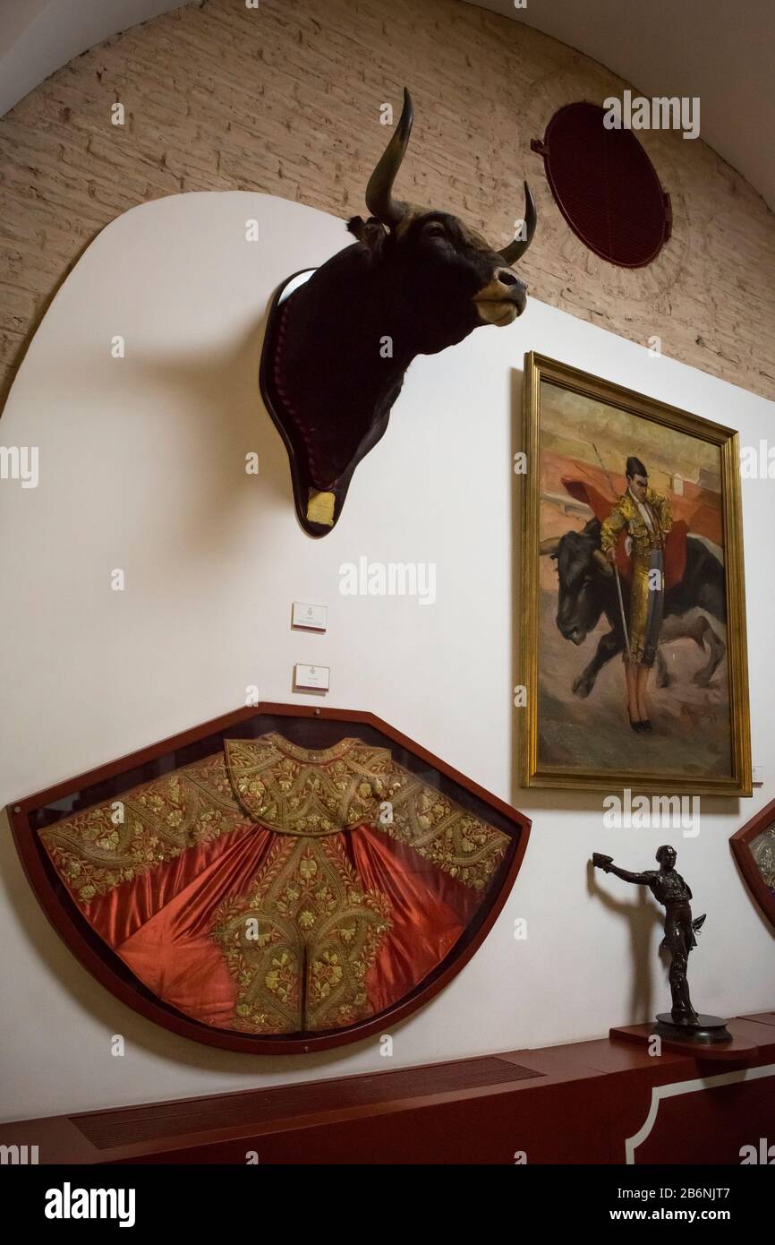 Lutte contre la tête de taureau, la sculpture, la peinture et le cap de taureaux au musée de la Maestranza, Séville, Espagne Banque D'Images
