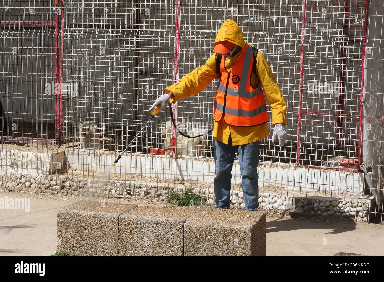 Un travailleur palestinien désinfecte un zoo comme mesure pour empêcher la propagation du nouveau Coronavirus, à Rafah, dans le sud de la bande de Gaza, le 11 mars 2020. Banque D'Images