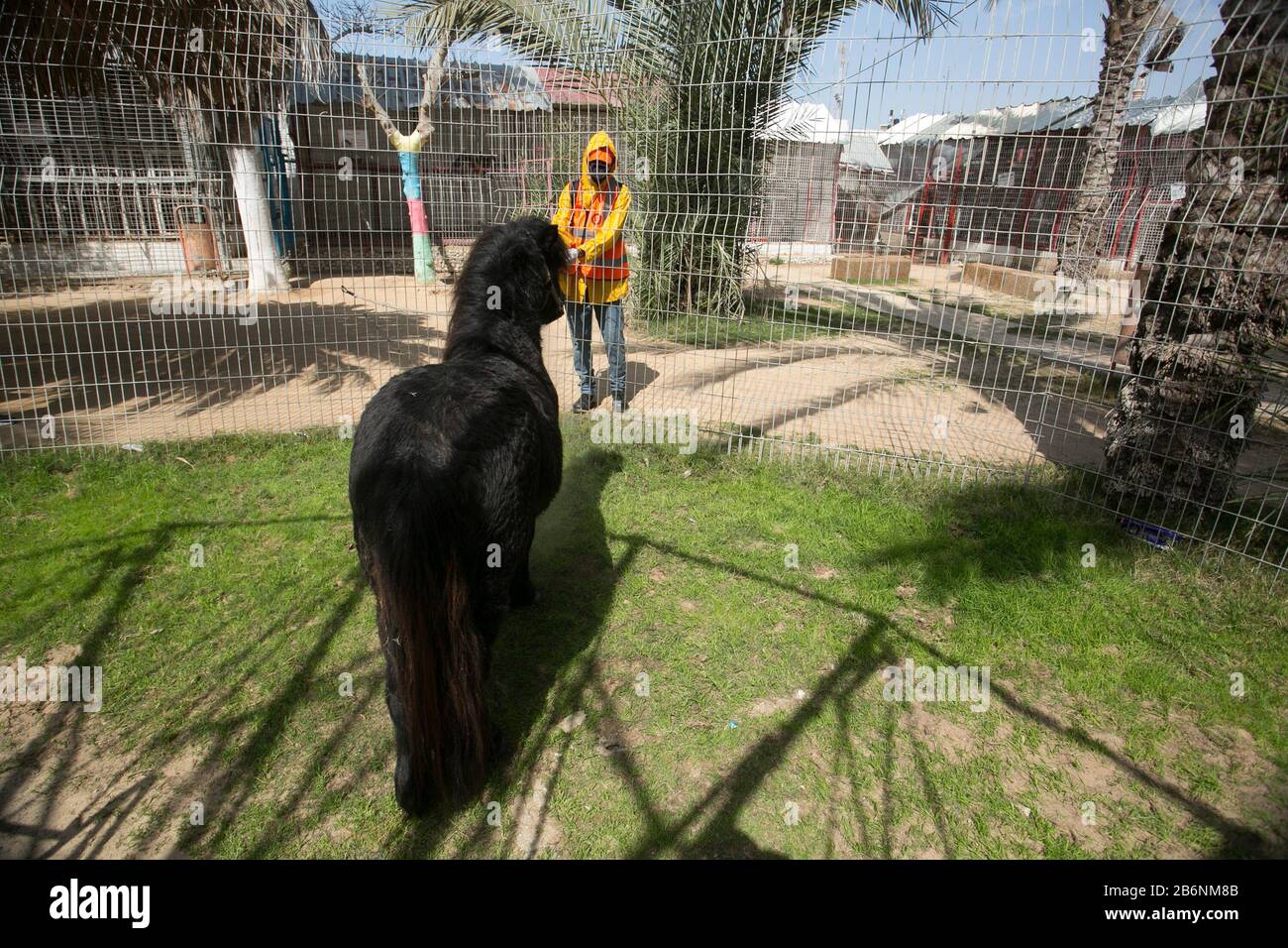 Un travailleur palestinien désinfecte un zoo comme mesure pour empêcher la propagation du nouveau Coronavirus, à Rafah, dans le sud de la bande de Gaza, le 11 mars 2020. Banque D'Images