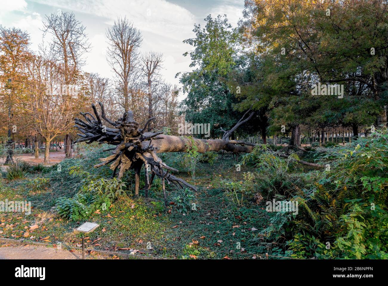 Arbre tombé en bronze dans le jardin des Tuileries appelé “l’arbre des voyelles”, Paris, France. Créé et érigé en 1947. Sculptant Banque D'Images