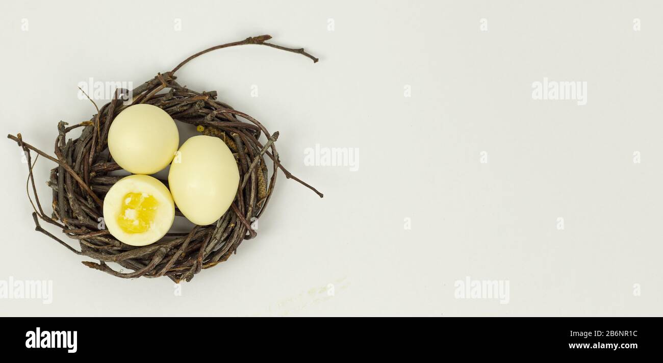 Œufs de Pâques. Oeufs blancs dans un nid sur un fond blanc. Vue de dessus. Bannière. Espace de copie. Placer pour le texte Banque D'Images