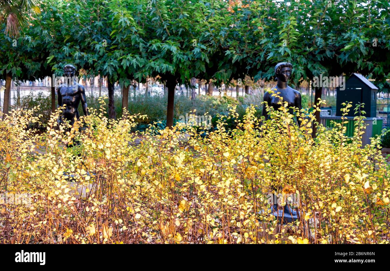Statues en bronze d'Apollon et de Jeannette derrière des feuilles de brousse jaunes dans le jardin des Tuileries, Paris, France. Banque D'Images