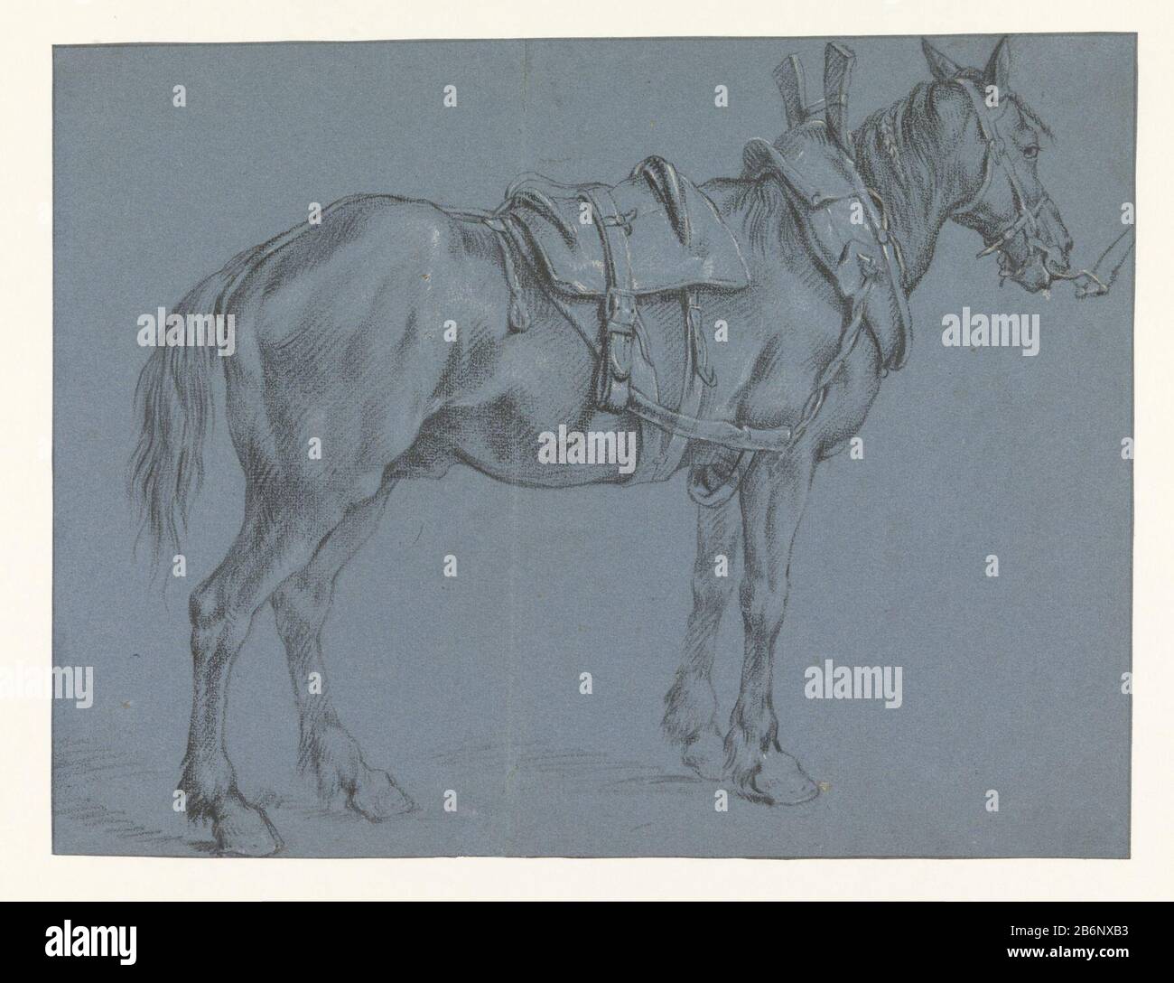 Getoomd en gezadeld paard, naar rechts bridés et saddled cheval en loi type d'objet: Dessin Numéro d'objet: RP-T-1883-A-262 Fabricant: Artiste: Pieter van Bloemen Date: 1667 - 1720 Caractéristiques physiques: Craie noire et blanche sur papier bleu: Craie papier Dimensions : h 305 mm × W 400 mm Sujet: cheval Banque D'Images