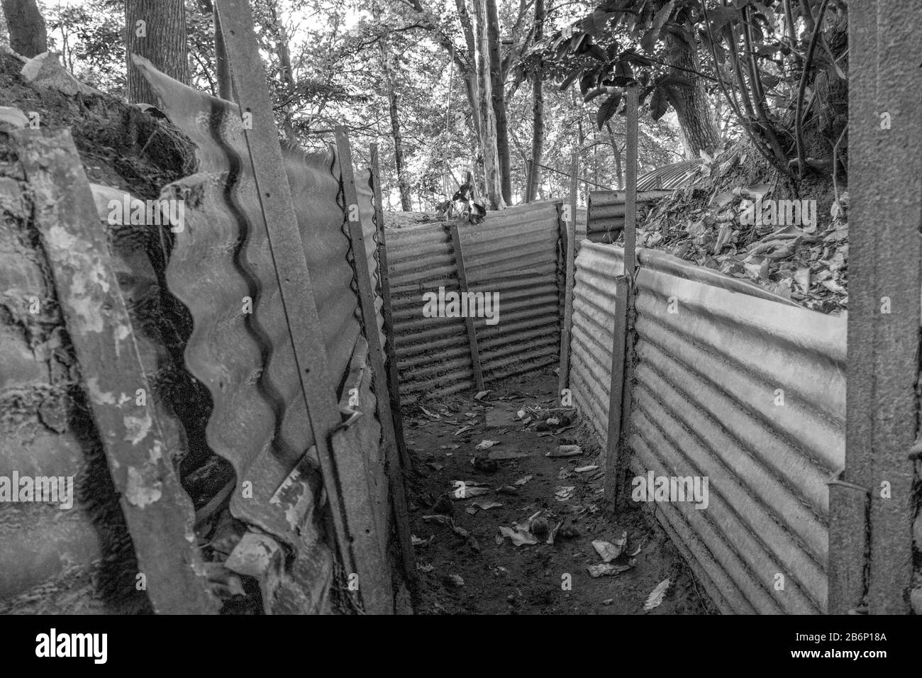 La guerre des tranchées à la colline 62 1 Bois du Sanctuaire sur la bataille d'Ypres, Belgique. Banque D'Images