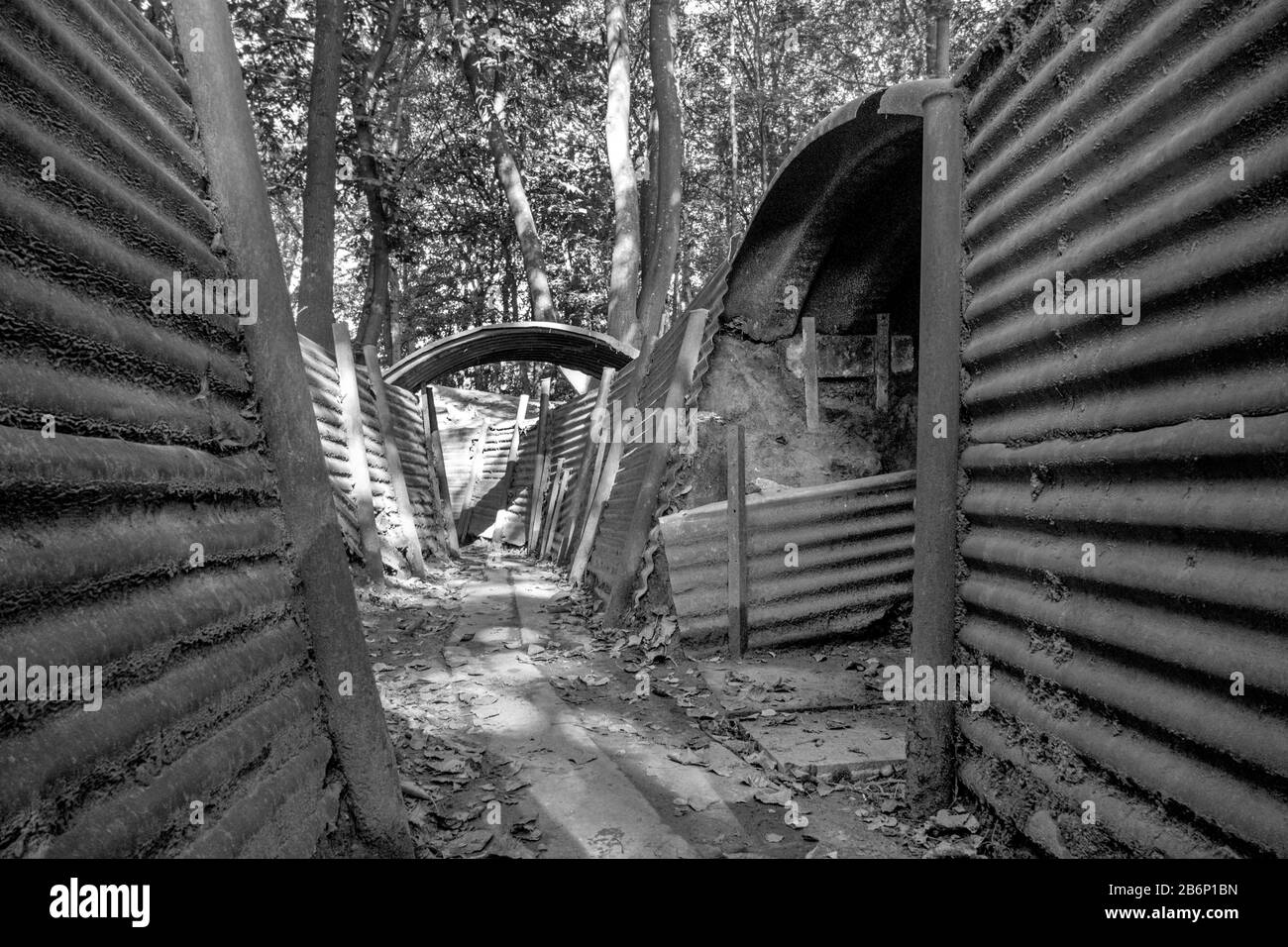 La guerre des tranchées à la colline 62 1 Bois du Sanctuaire sur la bataille d'Ypres, Belgique. Banque D'Images